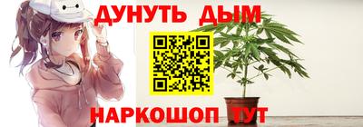 дмт Новокубанск