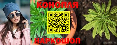метадон Новозыбков