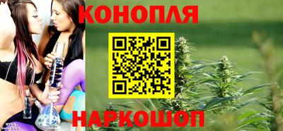 дмт Новокубанск