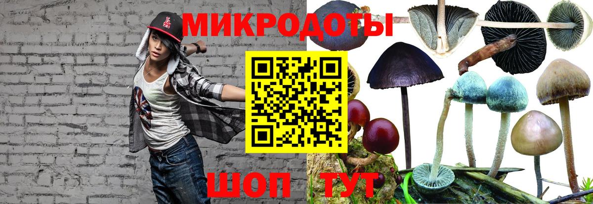 Семилуки  Псилоцибиновые грибы прущие грибы  Вход с VPN 